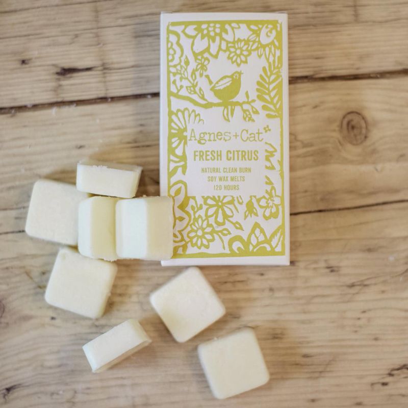 Boîte de 8 Fondants de Cire - Agrumes