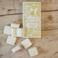 Boîte de 8 Fondants de Cire - Agrumes