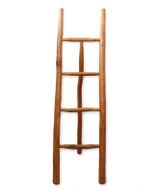 Grande Echelle en Teck - 1,5 m - Naturel