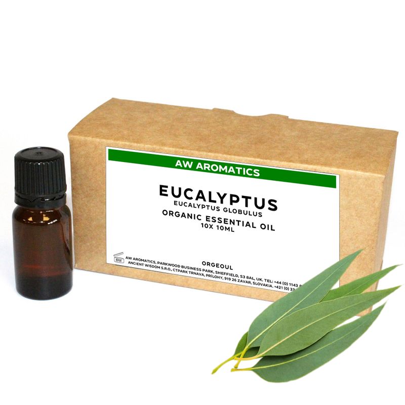 Huile Essentielle Bio Eucalyptus 10ml - Sans étiquette