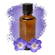 Géranium (Égypte) 50ml - Sans étiquette