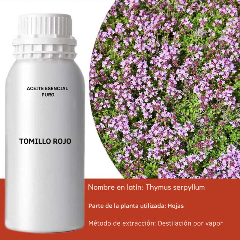 Huile Essentielle - Thym Rouge 0.5kg