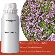 Huile Essentielle - Thym Rouge 0.5kg