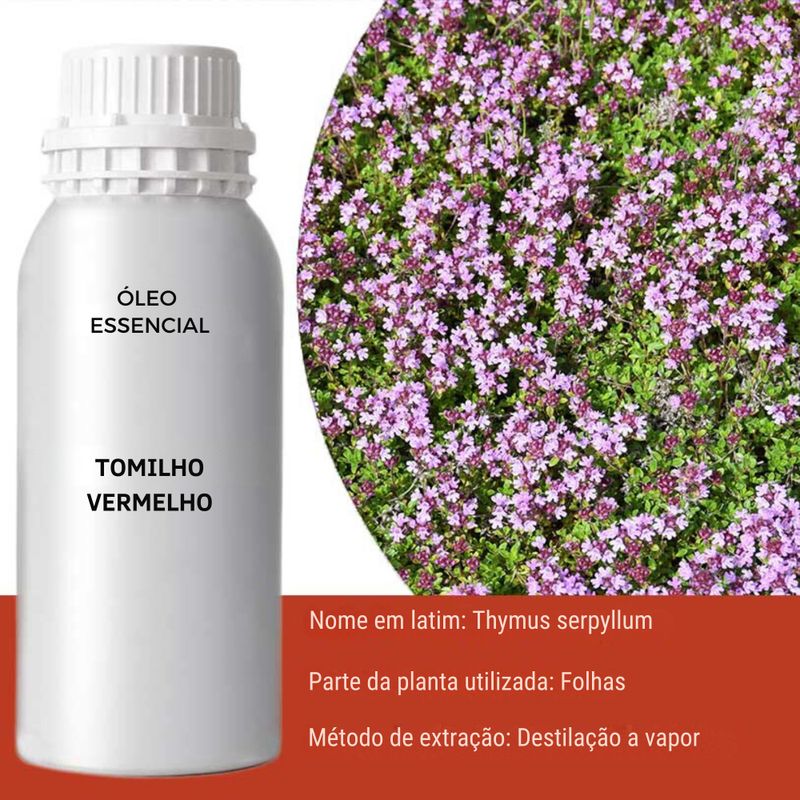 Huile Essentielle - Thym Rouge 0.5kg