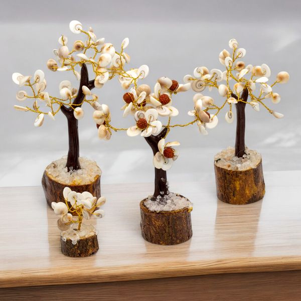 Arbres En Pierre Chakra Gomati