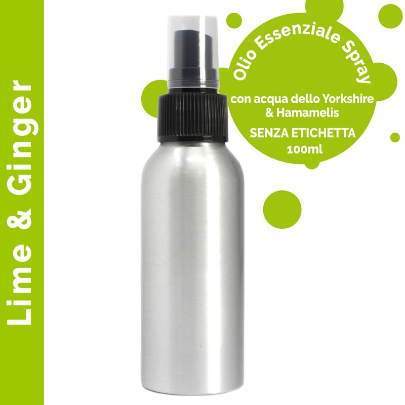 Brume d'Huiles Essentielles 100ml - Citron vert & Gingembre - Marque Blanche