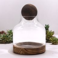 Terarium Moyen Bouchon Boule sur Bois de Tung Foncé - 17x22cm