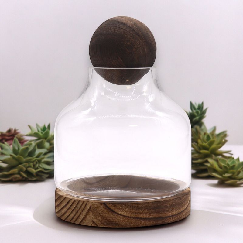 Terarium Moyen Bouchon Boule sur Bois de Tung Foncé - 17x22cm