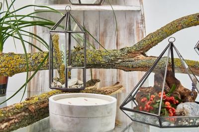 Terrarium en Verre