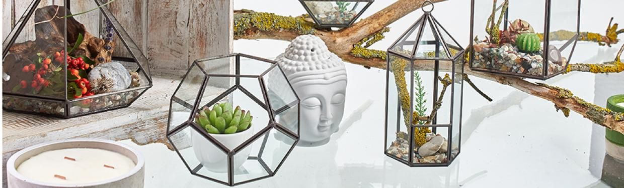 Terrarium en Verre