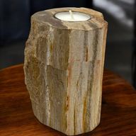 Bougeoir en bois pétrifié - Hauteur simple