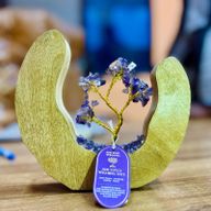 Jardin d'Arbre en Pierres Précieuses - Cadre Ouvert en Bois de Manguier - Améthyste - 60 Pierres Chips