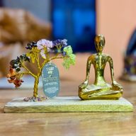 Jardin de Yoga en Pierres Précieuses - Pose Mudra - Sept Chakras - Arbre Incliné - 100 Pierres Chips