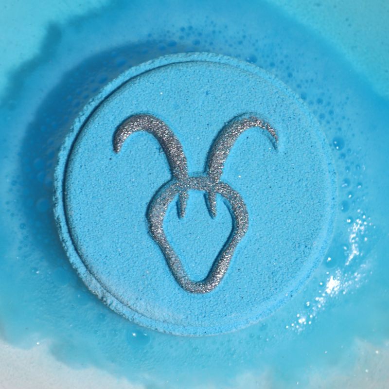 Ensemble de Bombes de Bain du Zodiaque avec Horoscope - Capricorne
