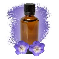 Géranium (Égypte) 50ml - Sans étiquette
