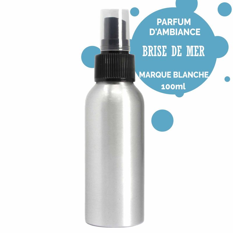 Spray d'Ambiance 100ml  - Brise Marine -  Sans Étiquette