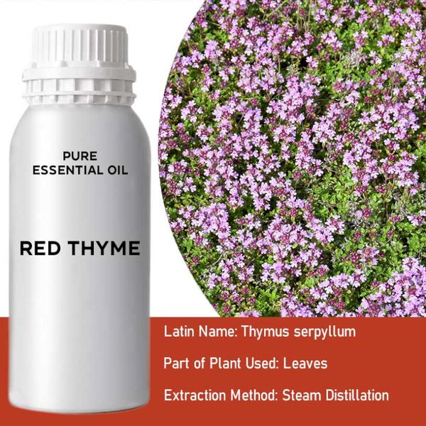Huile Essentielle - Thym Rouge 0.5kg