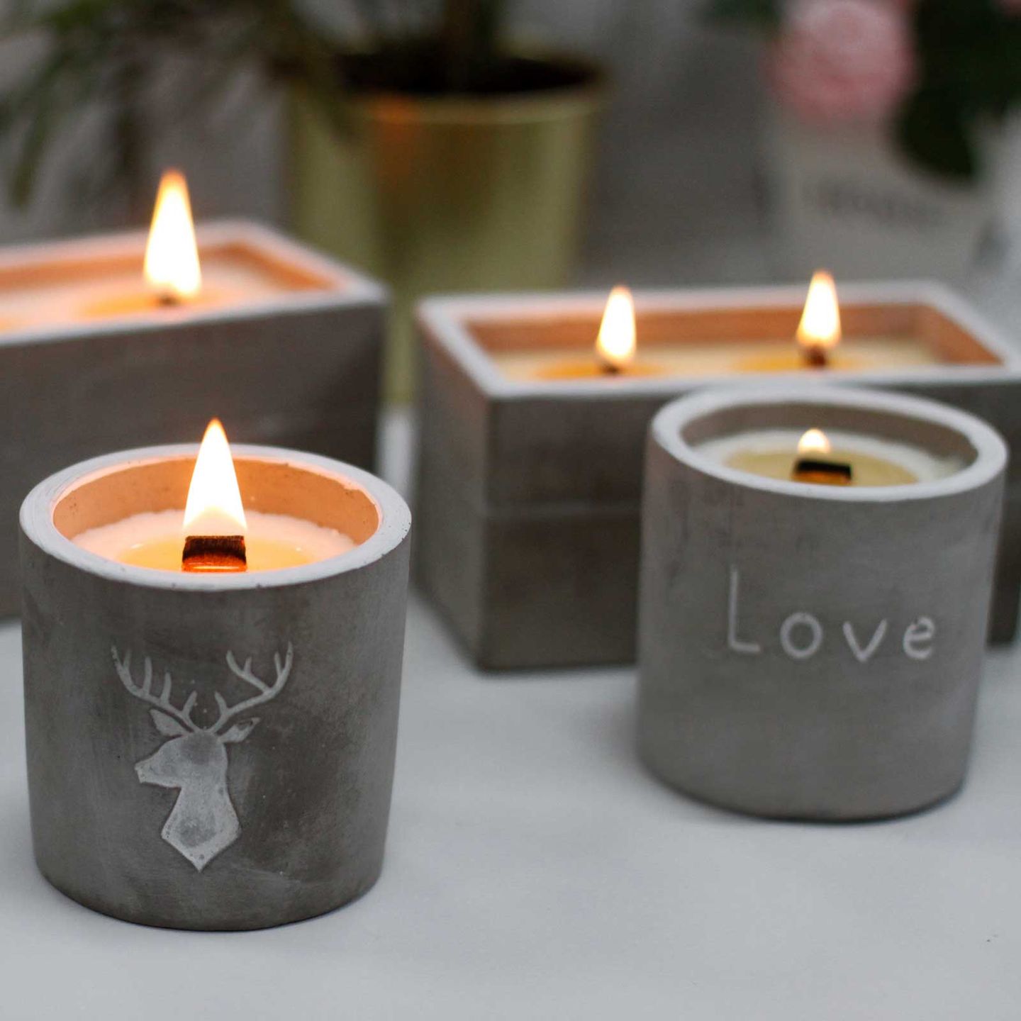 Bougies avec mèche en bois