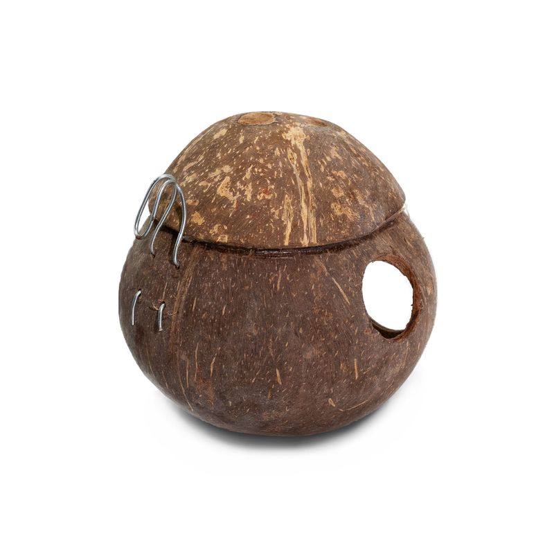 Nichoir Naturel en Noix de Coco - Avec Crochet - 13 cm