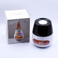 Diffuseur d'Aromes En Pierre De Sel Effet Flamme Avec Sons d'Oiseaux - Blanc USB - Changement De Couleur Avec Minuteur