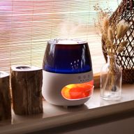 Diffuseur d'Aromes En Pierre De Sel Effet Flamme Avec Sons d'Oiseaux - Blanc USB - Changement De Couleur Avec Minuteur