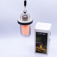 Lampe d'Extérieure Effet Flamme - Blanc USB - Rechargeable - Multicolore