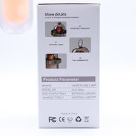 Lampe d'Extérieure Effet Flamme - Blanc USB - Rechargeable - Multicolore