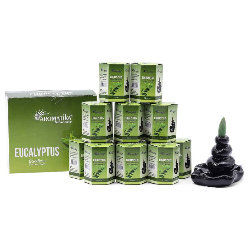 Paquet de 10 Cônes d'Encens Masala à Refoulement - Eucalyptus