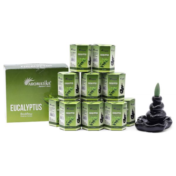 Paquet de 10 Cônes d'Encens Masala à Refoulement - Eucalyptus