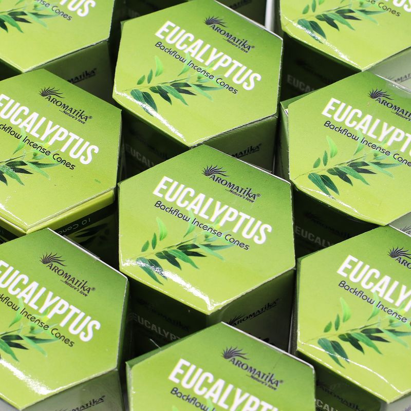 Paquet de 10 Cônes d'Encens Masala à Refoulement - Eucalyptus