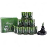 Paquet de 10 Cônes d'Encens Masala à Refoulement - Forêt Tropicale