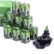 Paquet de 10 Cônes d'Encens Masala à Refoulement - Forêt Tropicale