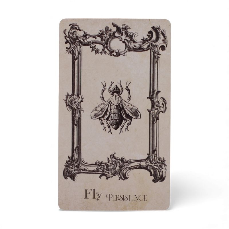 Cartes Oracle du Livre des Sorts – Jeu de Sorcellerie