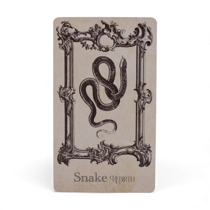 Cartes Oracle du Livre des Sorts – Jeu de Sorcellerie