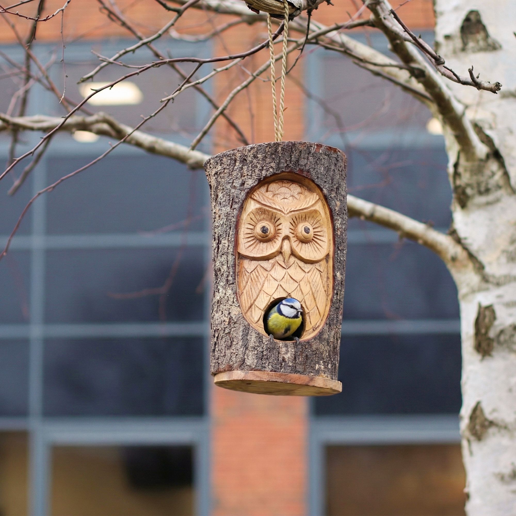 Mangeoires pour Oiseaux en Jonc de Mer
