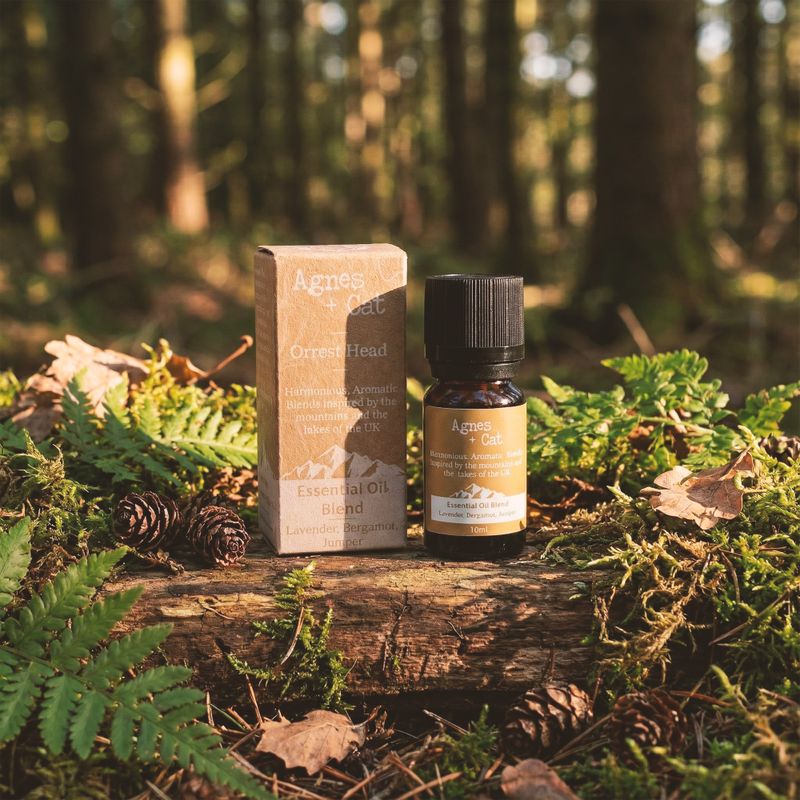 Mélange d'Huiles Essentielles - Cat Bells - Citron Vert, Mandarine & Menthe Poivrée
