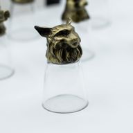 Verres À Shot (25 Ml) – Créatures De La Forêt Et Mystiques – Bronze Antique