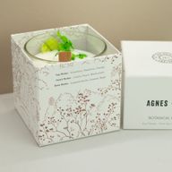 Bougie Végétale à la Cire de Soja Agnes + Cat – Baies des Hauts Plateaux