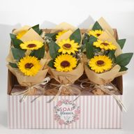 Fleurs de Savon Prêt A la Vente- Deux Bouquets de Tournesol
