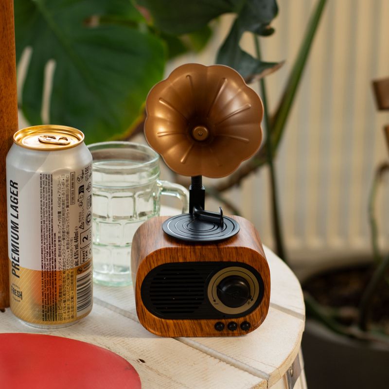Haut-parleur rétro mini gramophone - Bluetooth et radio FM