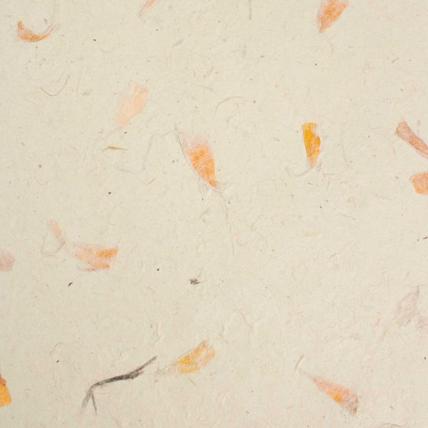 Papier d’Artisanat Lokta A4 (pack de 20 feuilles) – Calendule