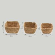 Paniers carrés en herbe marine - naturel - ensemble de 3