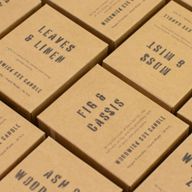 Bougie En Cire de Soja Avec Mèche en Bois – Zeste Forestier