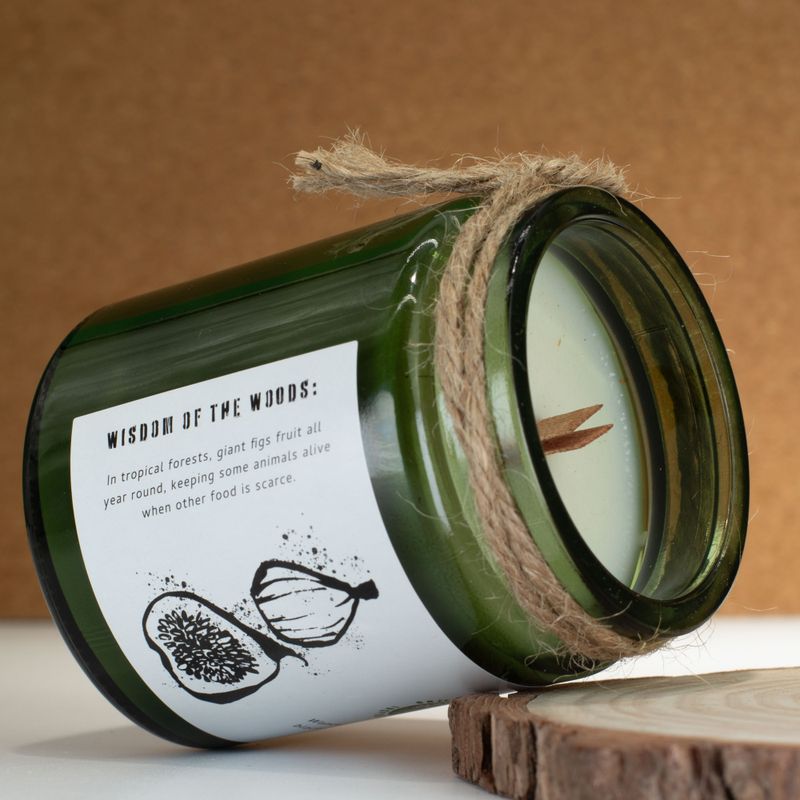 Bougie En Cire de Soja Avec Mèche en Bois – Figue Écrasée & Cassis