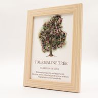 Photo de Pierre Précieuse – Arbre De Vie – Tourmaline