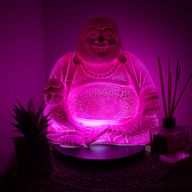 Lampe Bouddha Rieur – Fruit du Dragon – Socle Rond