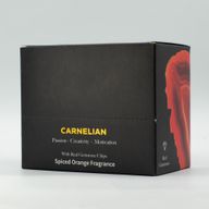 Fondants Parfumés MeltEaze 50g – Feu de cornaline – Orange épicée
