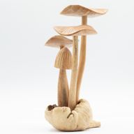 Sculpture Artisanale en Bois de Parasite - Ensemble de 4 gros Champignons