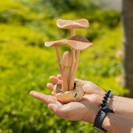 Sculpture Artisanale en Bois de Parasite - Ensemble de 4 gros Champignons