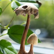 Sculpture Artisanale en Bois de Parasite - Ensemble de Deux Champignons